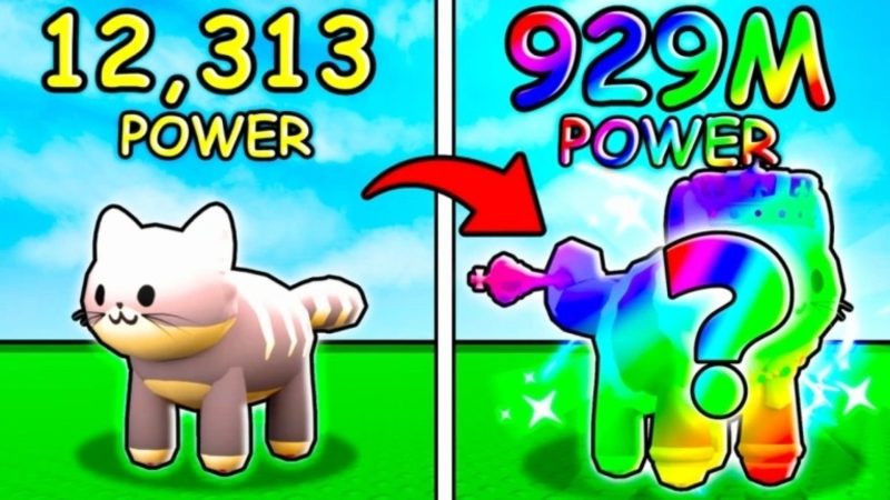 Meow Simulator Codes (October 2025)