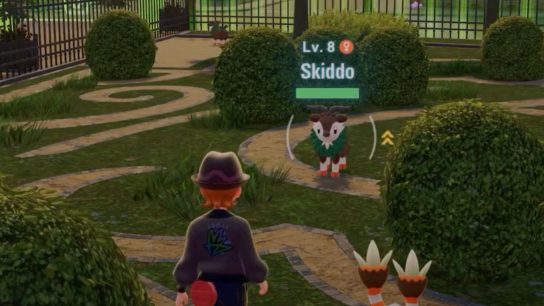 Pokemon Legends Z-A: How To Get Skiddo and Gogoat