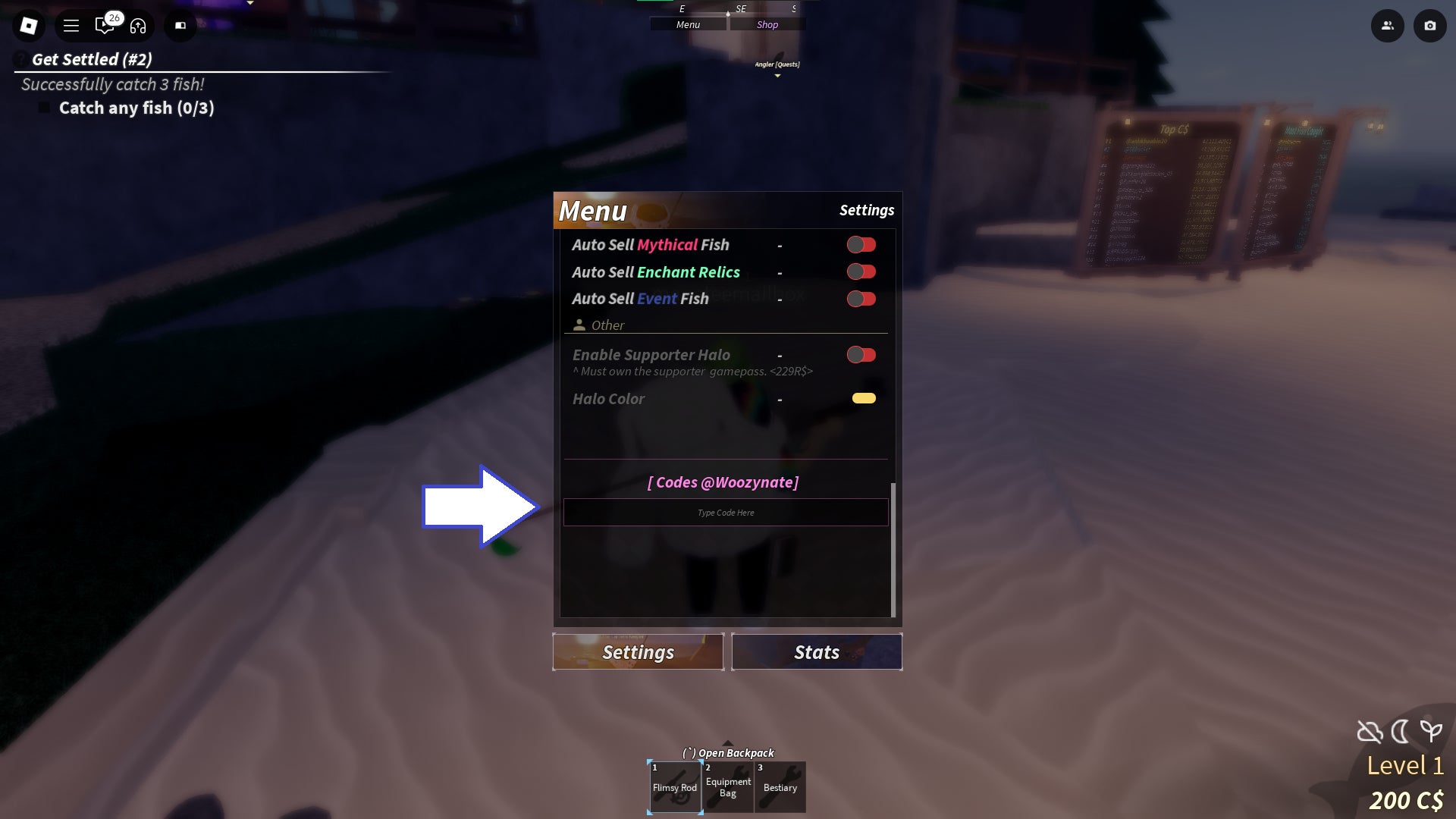 Voucher input field visualization