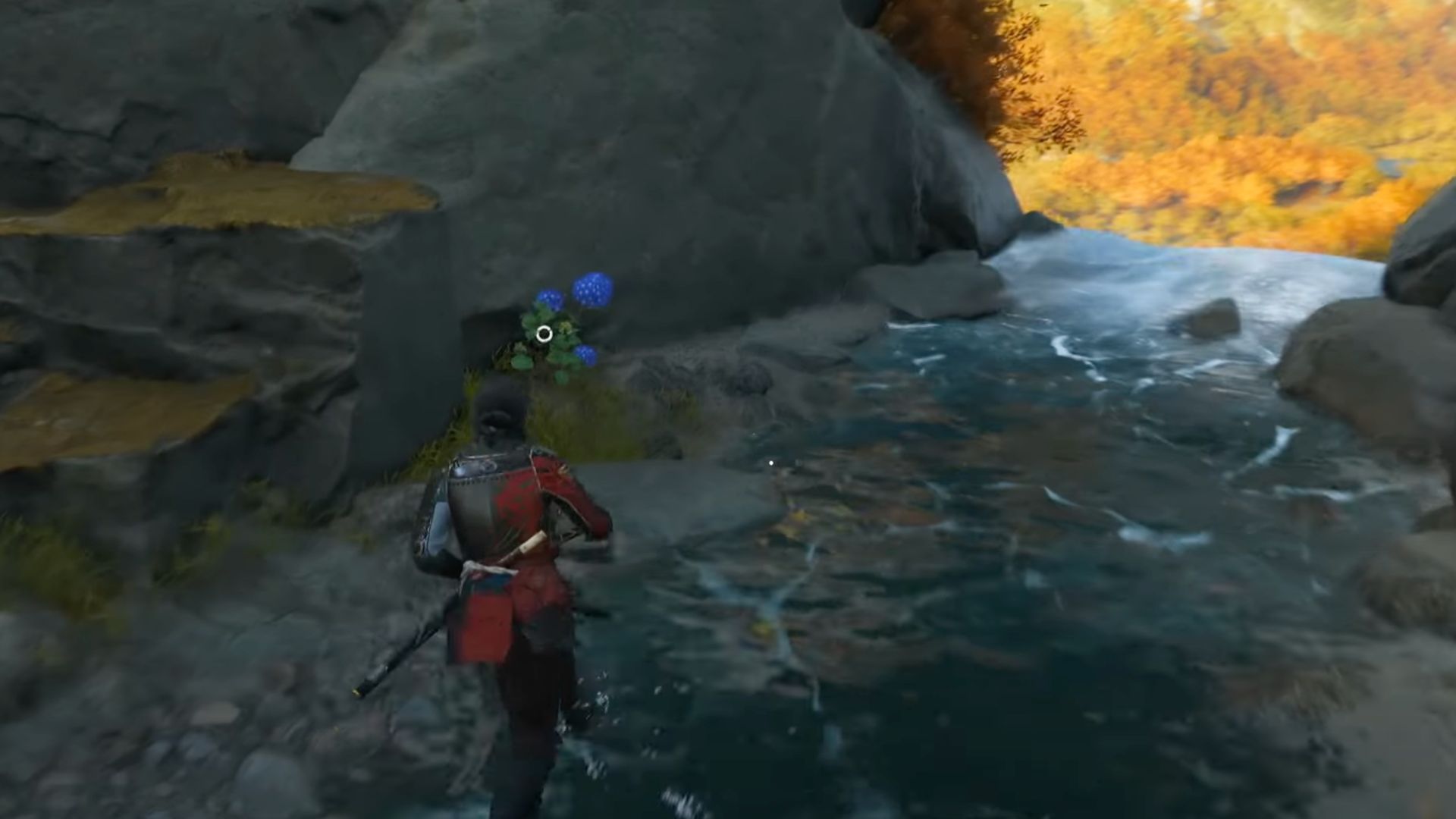 Third flower position depicted (Image via Sony Interactive Entertainment)