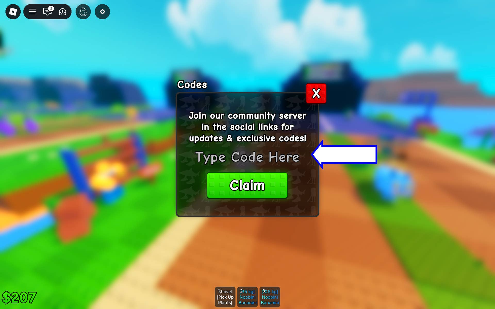 Code entry field demonstration