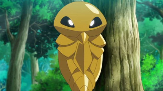 Pokemon's Kakuna in the Pokemon anime