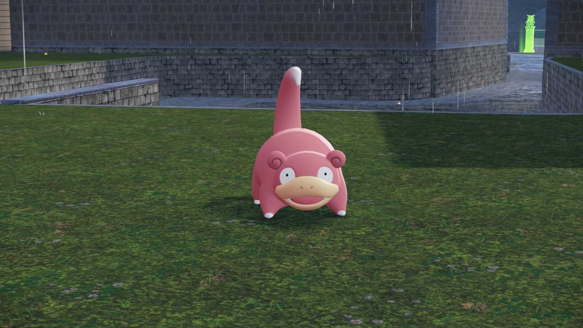 Slowpoke habitat visualization