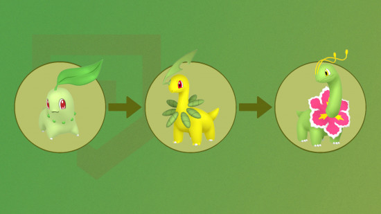 Botanical evolutionary stages