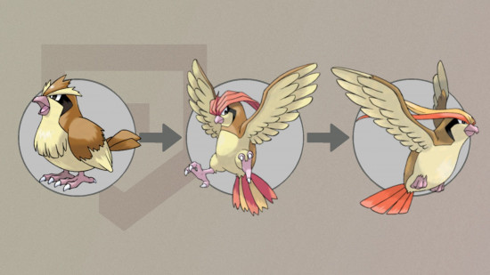 pokemon pidgey's evolutionary line