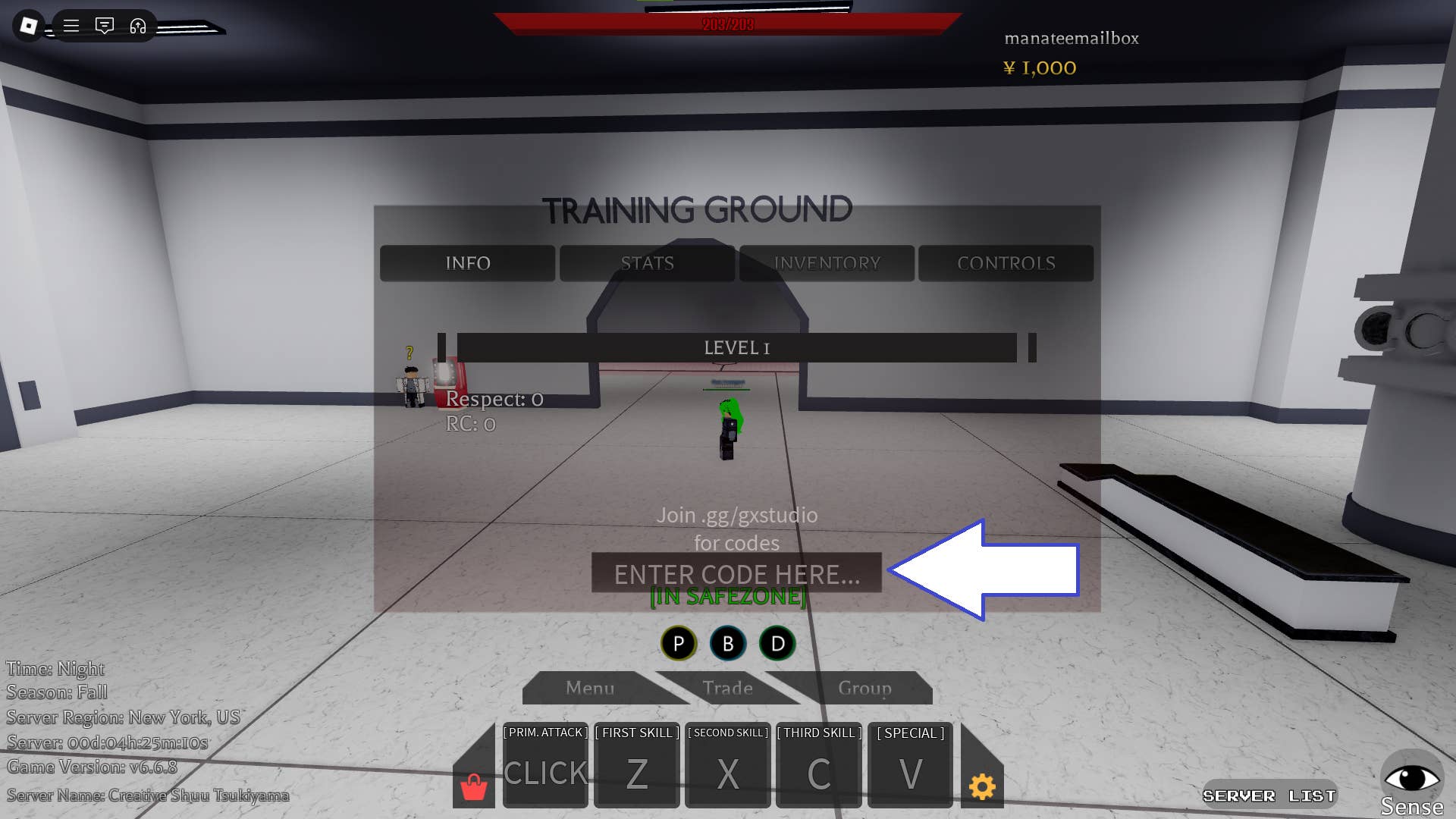 Code redemption input demonstration