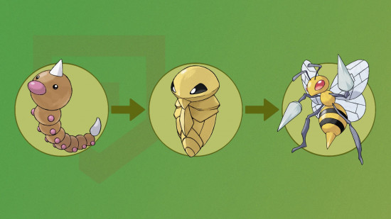 pokemon weedle's evolutionary line showing kakuna, and beedrill