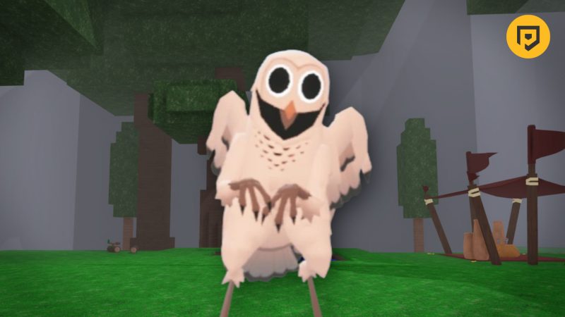 99 Nights in the Forest Owl guide