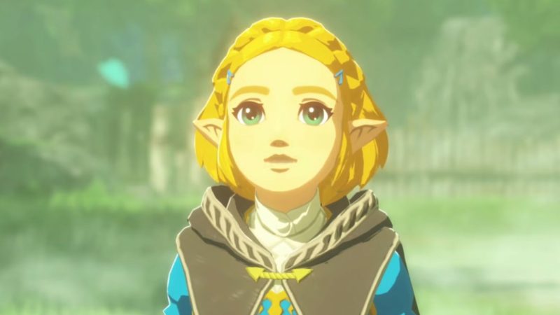 Hyrule Warriors Age of Imprisonment: Guide to the Great Plateau