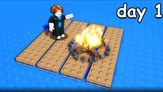 Survive on a Raft Codes (November 2025)